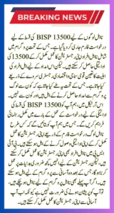 BISP Application Form Installment For Ineligible People