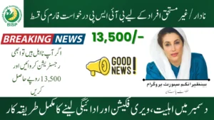 BISP Application Form Installment For Ineligible People