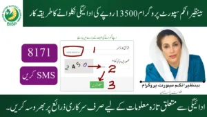 Benazir Income Support Program 13500 Payment Withdrawal Process